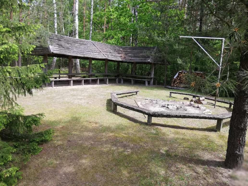 Agroturystyka "Lesne Zacisze Na Podlasiu" Tuczna Ngoại thất bức ảnh