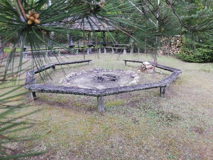 Agroturystyka "Lesne Zacisze Na Podlasiu" Tuczna Ngoại thất bức ảnh
