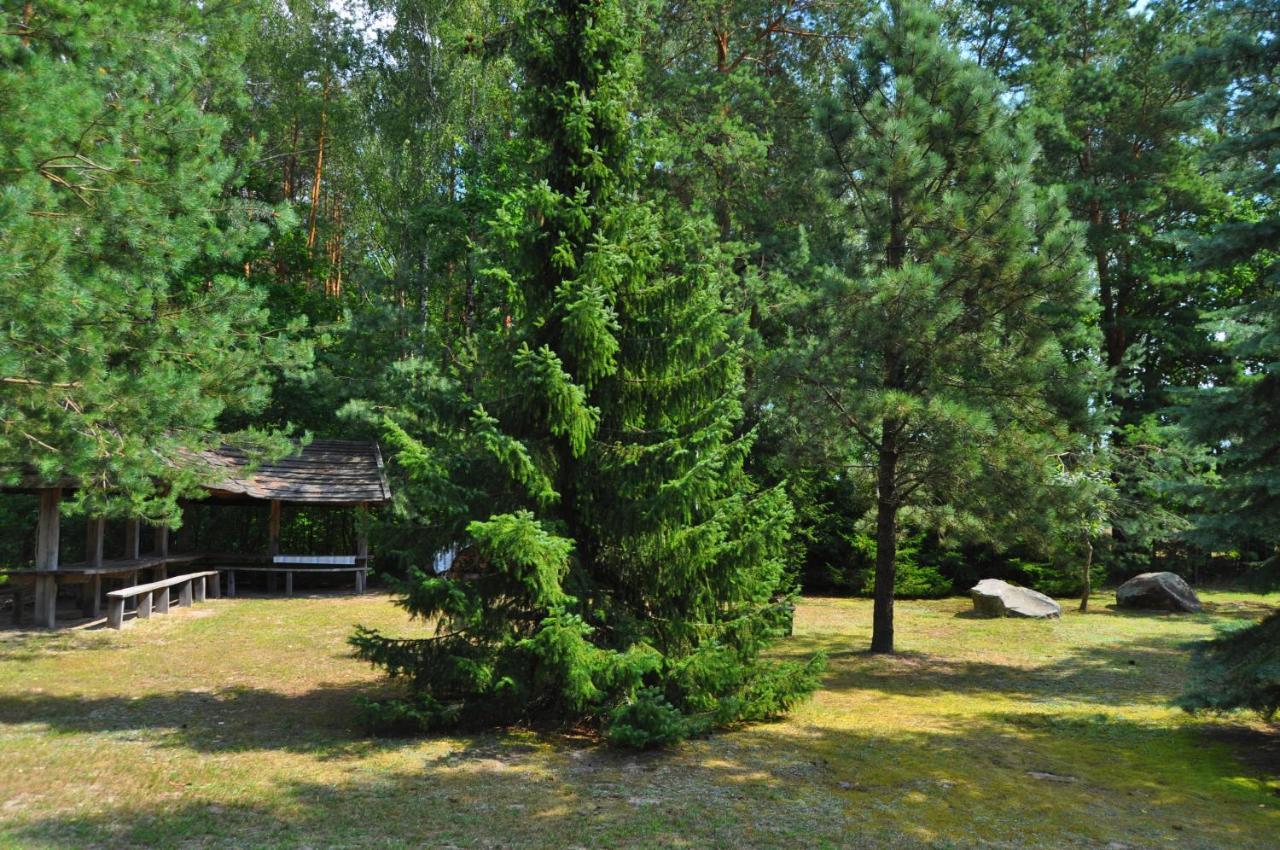 Agroturystyka "Lesne Zacisze Na Podlasiu" Tuczna Ngoại thất bức ảnh