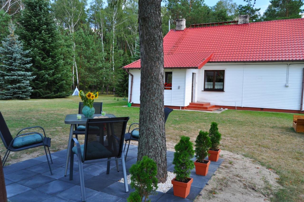 Agroturystyka "Lesne Zacisze Na Podlasiu" Tuczna Ngoại thất bức ảnh